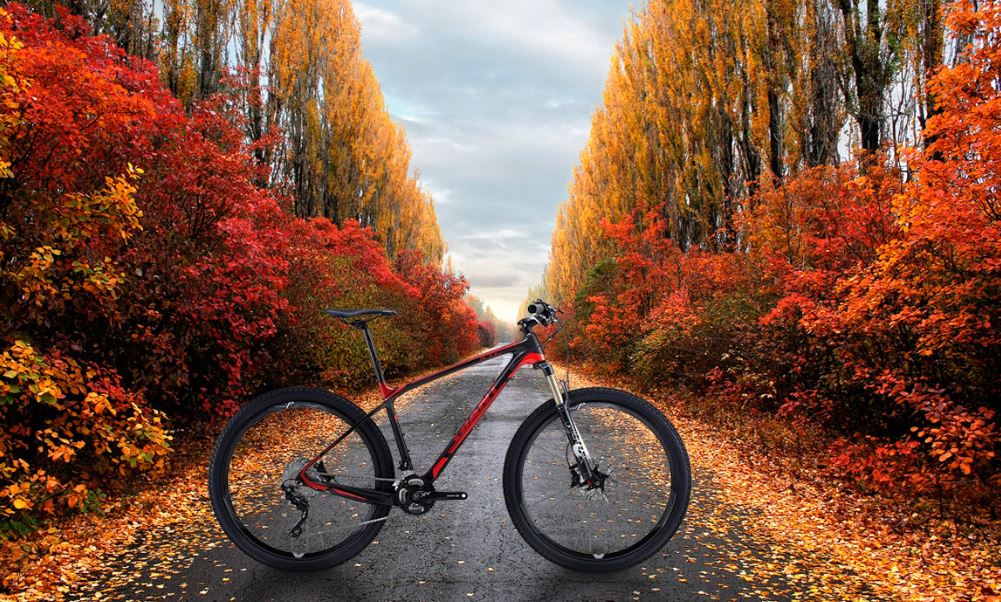 Велосипед и осень | Velosiped.kz