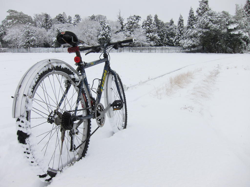 Особенности зимнего катания на велосипеде