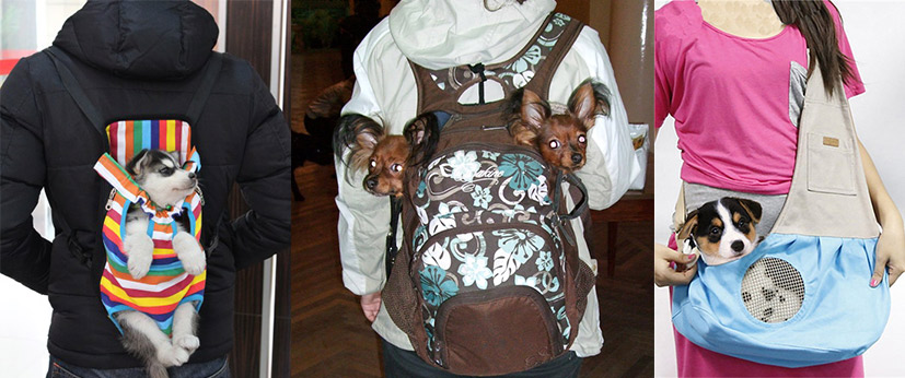рюкзак переноска для собак и кошек