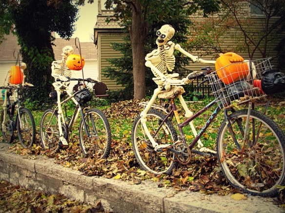 Скелеты и велохеллоуин
