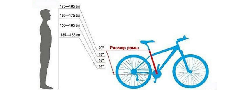 Велосипед радиус на какой рост